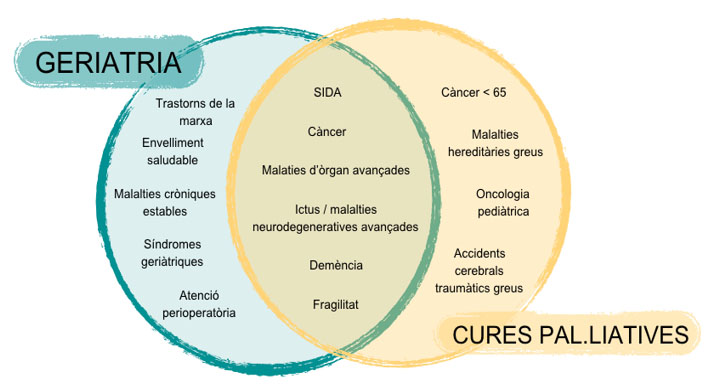 Alineació de competències entre el coneixement geriàtric i pal·liatiu. Adaptat de Meier et al.